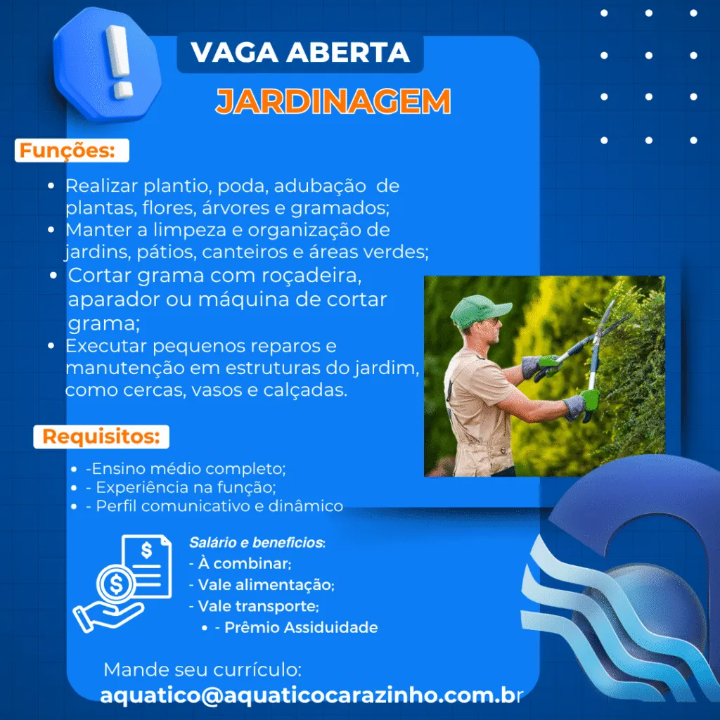 Imagem da vaga