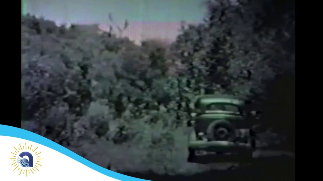 Vídeo: Abertura da Piscina Olímpica 